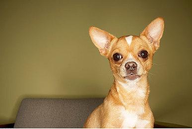 FF系列创作人坂口博信表示自己并不后悔撤销退休决定